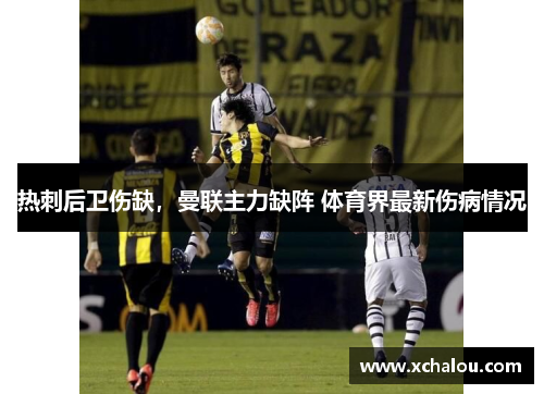 热刺后卫伤缺，曼联主力缺阵 体育界最新伤病情况